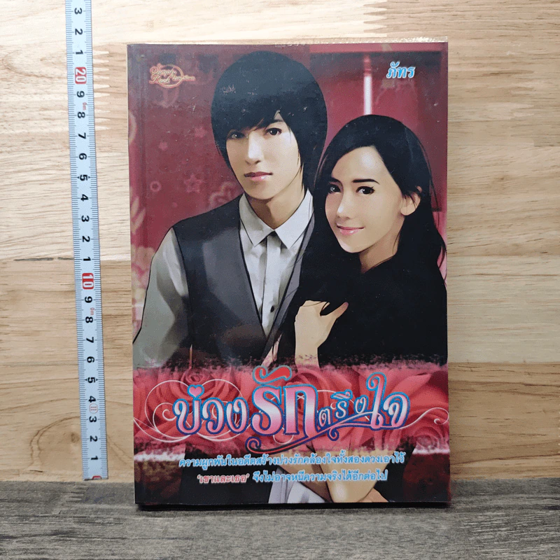 บ่วงรักตรึงใจ - ภัทร รูปที่ 1