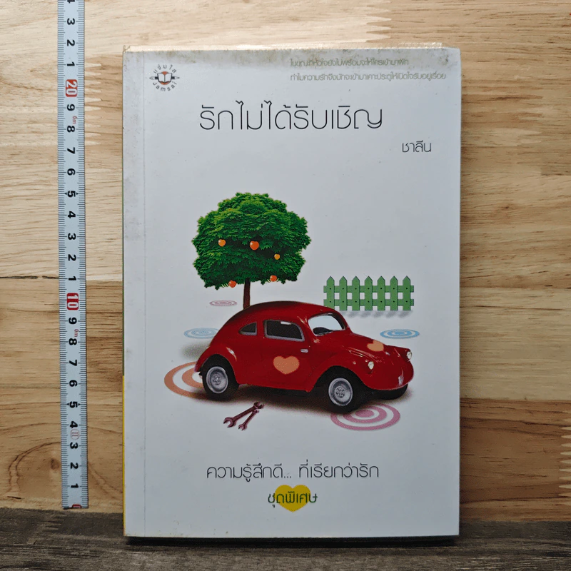 รักไม่ได้รับเชิญ - ชาลีน รูปที่ 1