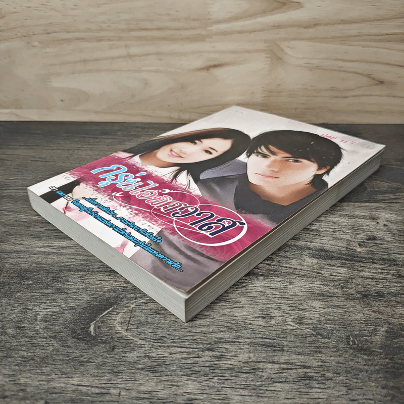 กรุ่นไอพิศวาส - นิตย์ ระวี รูปที่ 3