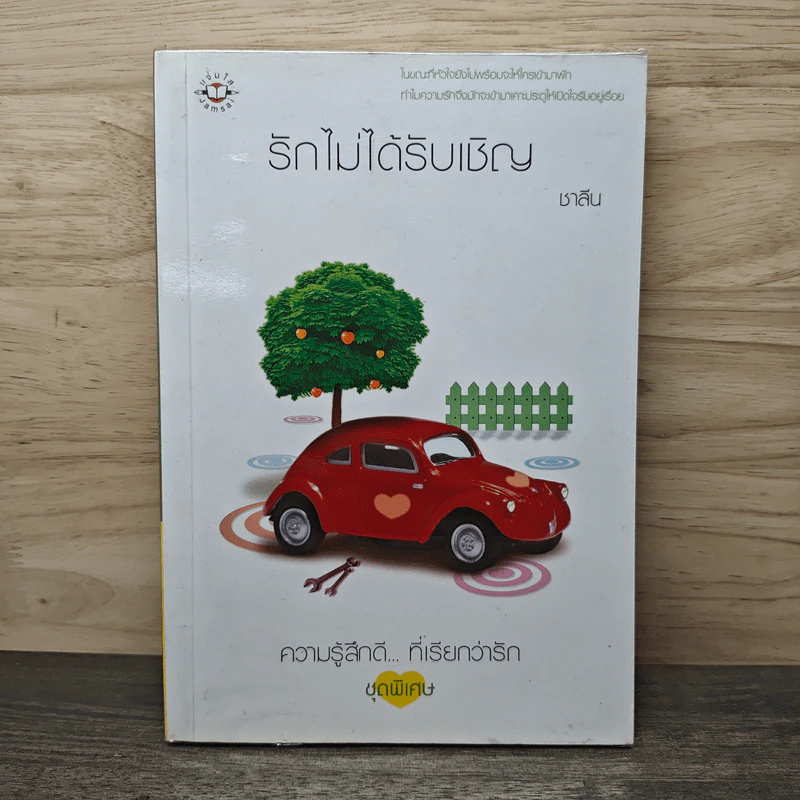 รักไม่ได้รับเชิญ - ชาลีน รูปที่ 1