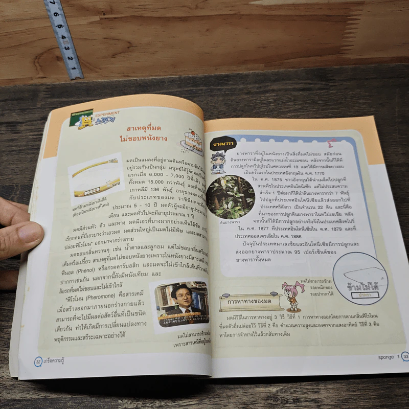 Sponge ฉลาดที่สุดกับชุดฟองน้ำความรู้ เล่ม 1 ตอน ตะพาบงับ...ทำไงดี รูปที่ 7