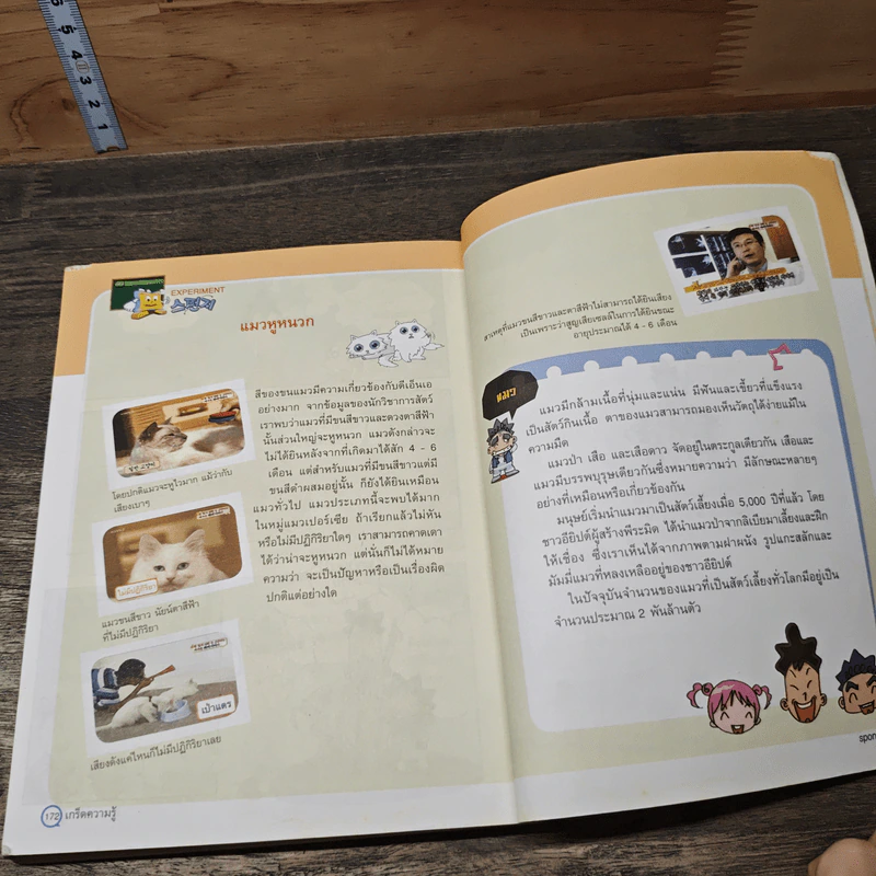 Sponge ฉลาดที่สุดกับชุดฟองน้ำความรู้ เล่ม 1 ตอน ตะพาบงับ...ทำไงดี รูปที่ 8