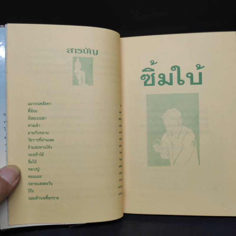 ซิ้มใบ้ - ประภัสสร เสวิกุล รูปที่ 6