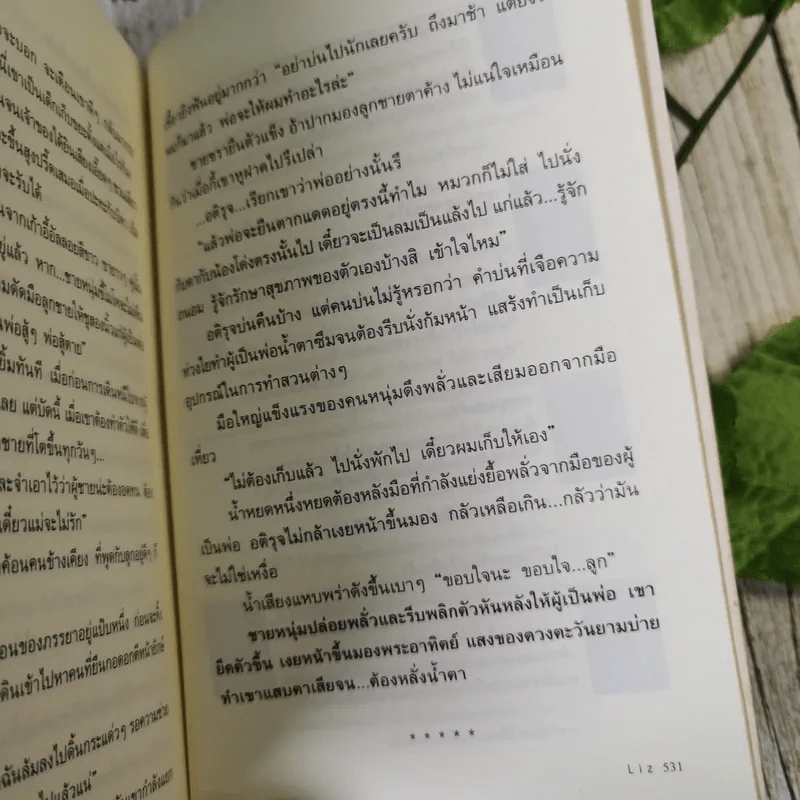 บ่วงพราน - ลิซ รูปที่ 10