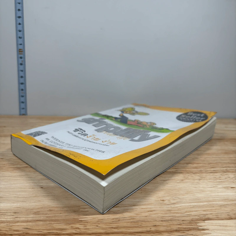 Simplify Your Life ชีวิตง้าย ง่าย - Werner Tiki Kustenmacher, Lothar j. seiwert รูปที่ 3