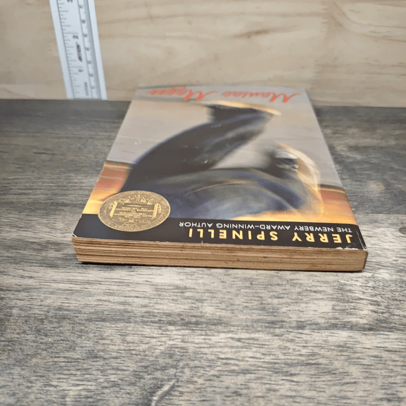 Maniac Magee - Jerry Spinelli รูปที่ 4