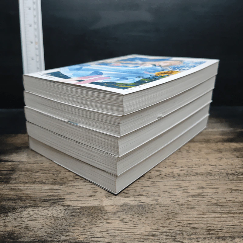 ขาดคุณนางฟ้าข้างห้องไป ผมคงมีชีวิตต่อไปไม่ได้อีกแล้ว เล่ม 1-5 รูปที่ 3