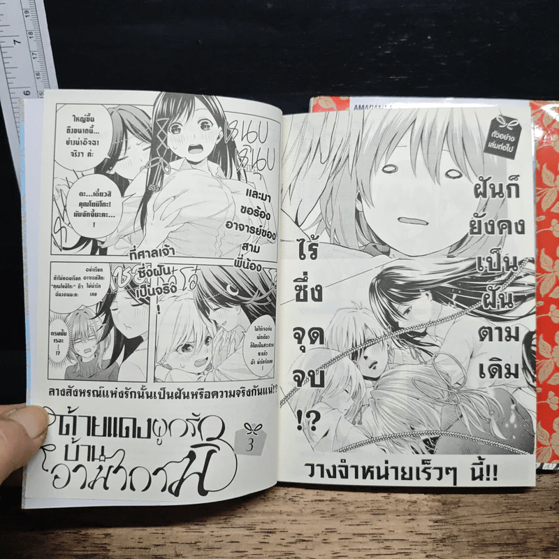 ด้ายแดงผูกรักบ้านอามากามิ เล่ม 1-2 - Marcey Naito รูปที่ 9