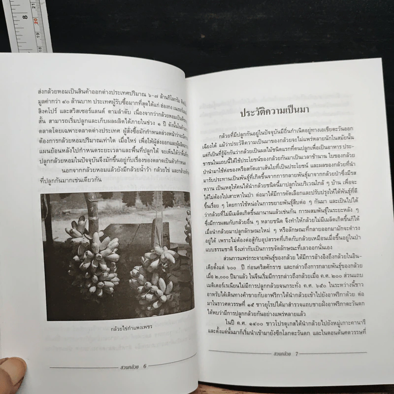 หนังสือ สวนกล้วย - สมศักดิ์ วรรณศิริ รูปที่ 8