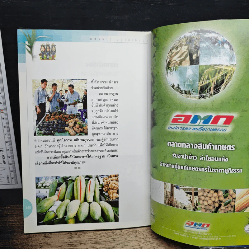3 สาวเข้าตลาดเกษตร รูปที่ 10