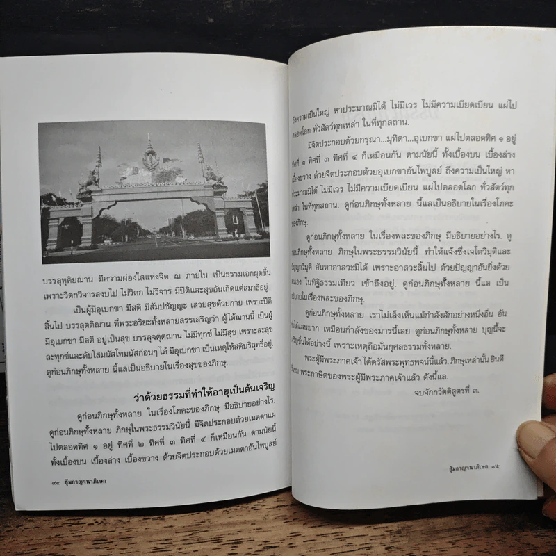 ซุ้มเฉลิมพระเกียรติ ในพระราชพิธีกาญจนาภิเษก รูปที่ 9