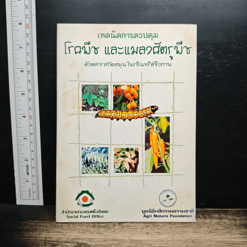 เทคนิคการควบคุม โรคพืช และแมลงศัตรูพืช รูปที่ 1