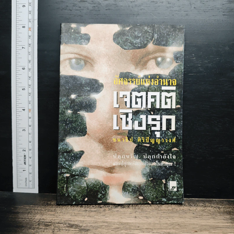อัศจรรย์แห่งอำนาจ เจตคติเชิงรุก รูปที่ 1