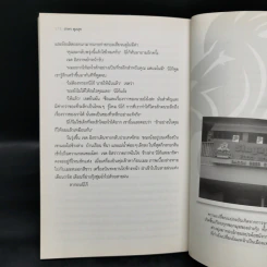 นิโก้ เด็กแสบแห่งเจดีย์ซูเล - สาคร พูลสุข รูปที่ 10