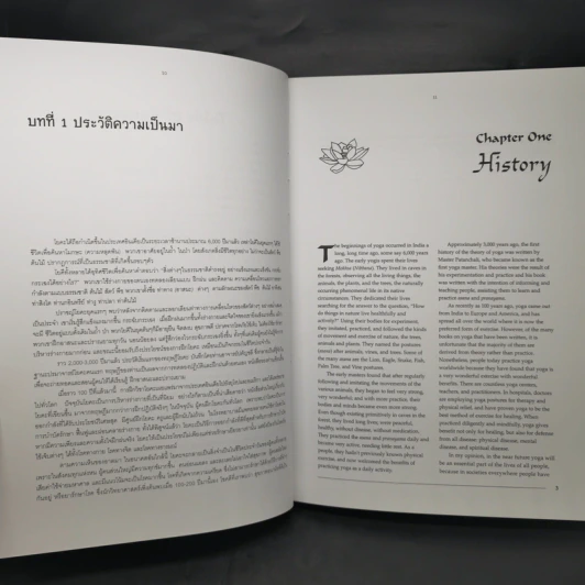 Yoga Why? Why Yoga? โยคะทำไม? ทำไมต้องทำโยคะ - พระธรรมสิงหบุราจารย์ รูปที่ 11