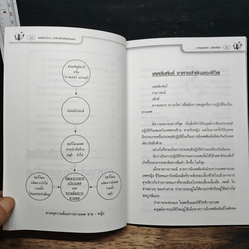 เพศสัมพันธ์ อาหารสำคัญของคน - กาณุทรรศน์ รูปที่ 9