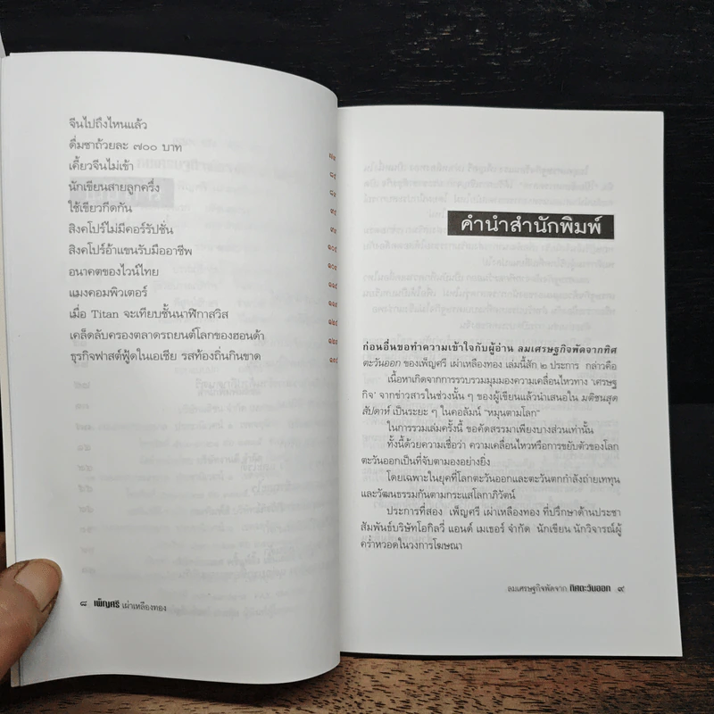ลมเศรษฐกิจพัดจากทิศตะวันออก - เพ็ญศรี เผ่าเหลืองทอง รูปที่ 7