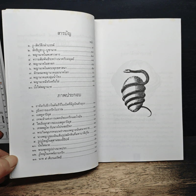 พญานาค - ส.พลายน้อย รูปที่ 7