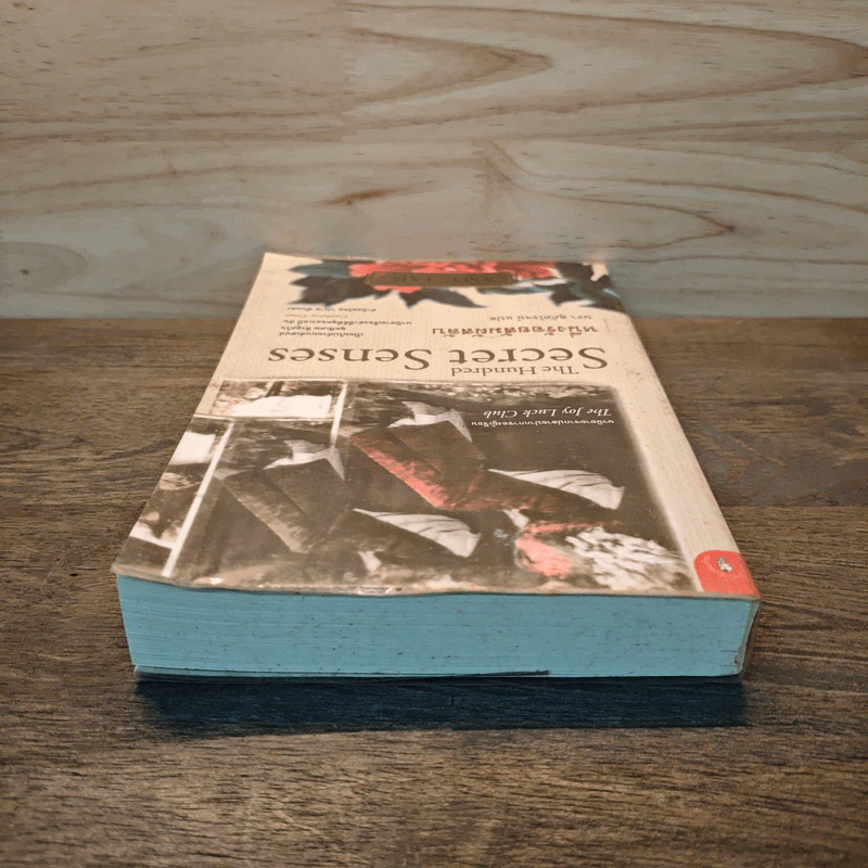 หนึ่งร้อยสัมผัสลับ The Hundred Secret Senses - Amy Tan รูปที่ 4