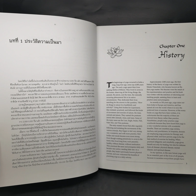 Yoga Why? Why Yoga? โยคะทำไม? ทำไมต้องทำโยคะ - พระธรรมสิงหบุราจารย์ รูปที่ 11