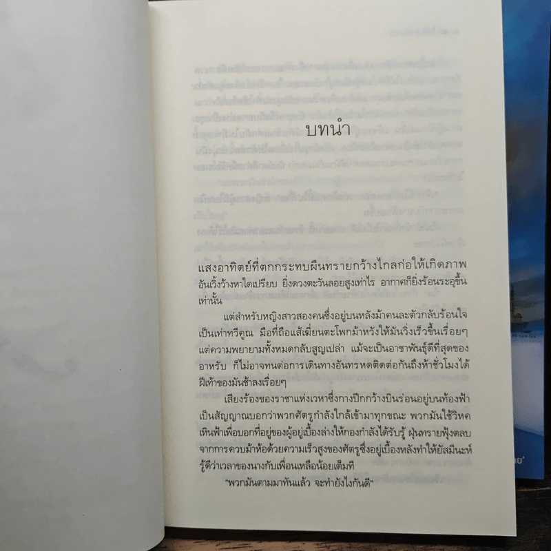 ชุดเจ้าทะเลทราย จิ้งจอกราตรี + อินทรีเหินเวหา + ราชาบนผืนทราย - เก้าแต้ม รูปที่ 8