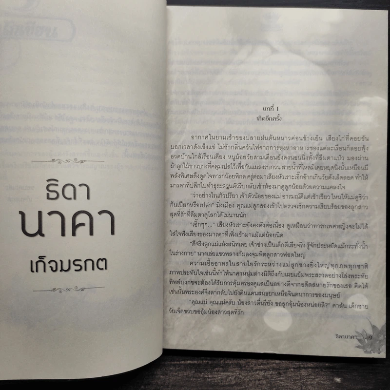 ธิดานาคา - เก็จมรกต รูปที่ 6