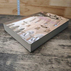 หนังสือ ลิขิตพิษสวาท รูปที่ 3