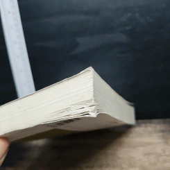 หนังสือ สนทนากับอาร์เนอ เนสส์ เจ็บหรือที่จะคิด? รูปที่ 10