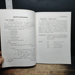 อนุกรมวิธานพืชสมุนไพร - สมภพ ประธานธุรารักษ์ รูปที่ 10