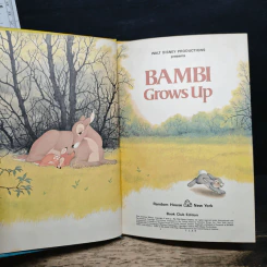 Bambi Grows Up - Walt Disney Productions รูปที่ 6