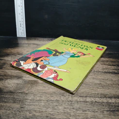 Walt Disney's Peter Pan and Wendy รูปที่ 4