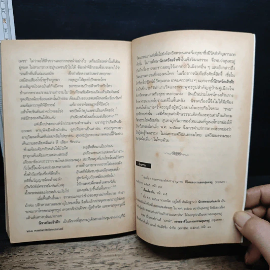 ศาสตร์และศิลป์แห่งวรรณคดี - รศ.ดร.รื่นฤทัย สัจจพันธุ์ รูปที่ 10