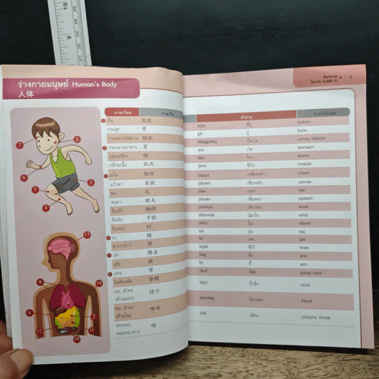 ศัพท์หมวด ไทย-จีน 4,000 คำ รูปที่ 11