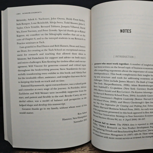 The Wide Lens - Ron Adner รูปที่ 10