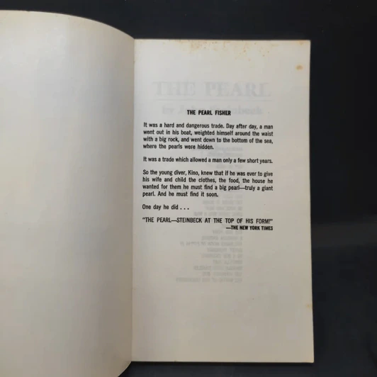The Pearl - Steinback รูปที่ 8