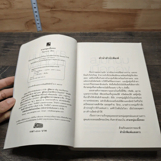 สามหนุ่มเนื้อทอง - กันยามาส รูปที่ 6