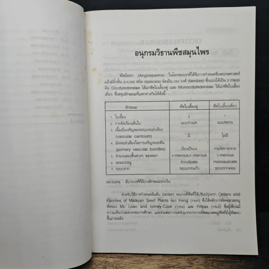 อนุกรมวิธานพืชสมุนไพร - สมภพ ประธานธุรารักษ์ รูปที่ 9