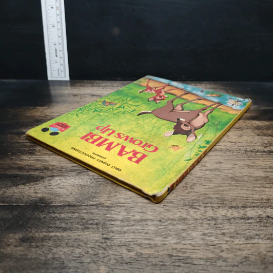 Bambi Grows Up - Walt Disney Productions รูปที่ 5