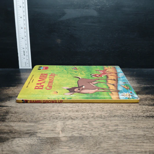 Bambi Grows Up - Walt Disney Productions รูปที่ 3