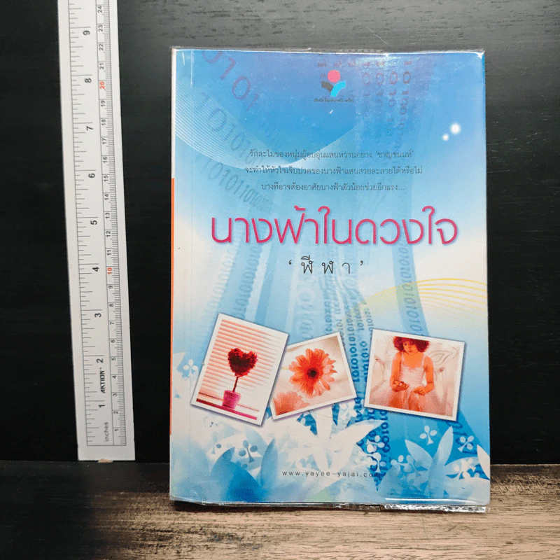 นางฟ้าในดวงใจ - ฬีฬา รูปที่ 1