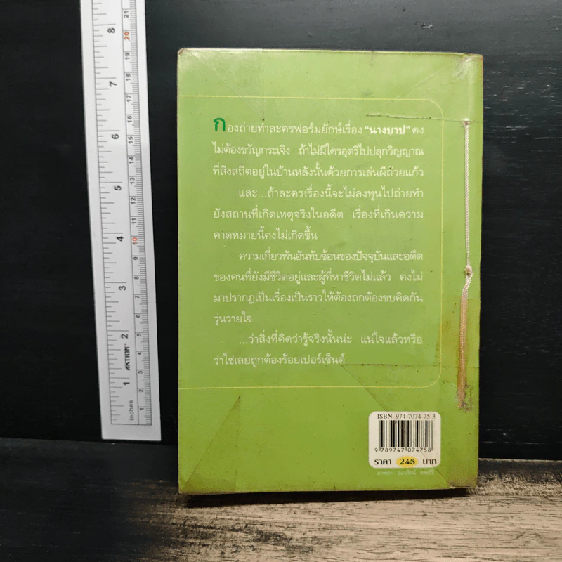 นางบาป - กิ่งฉัตร รูปที่ 2