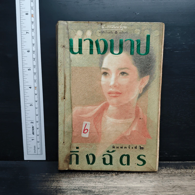 นางบาป - กิ่งฉัตร รูปที่ 1