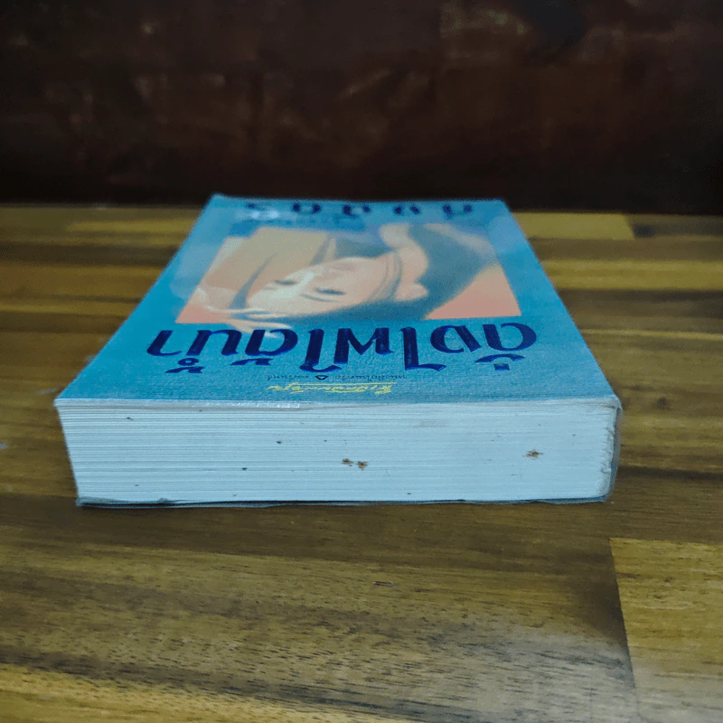 ดั่งไฟใต้น้ำ - กิ่งฉัตร รูปที่ 5