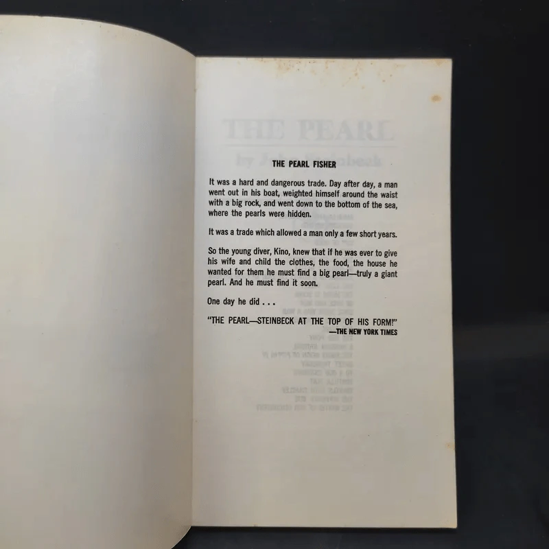 The Pearl - Steinback รูปที่ 8
