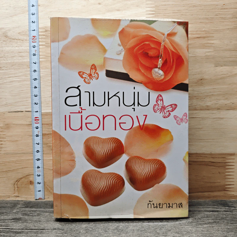 สามหนุ่มเนื้อทอง - กันยามาส รูปที่ 1