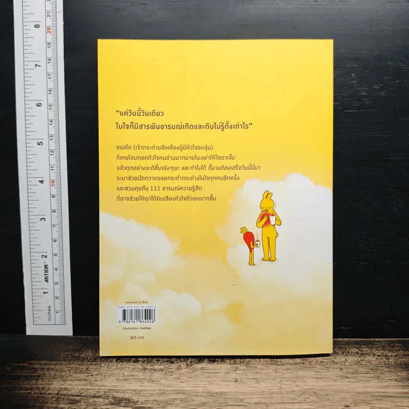 อย่าลืมฟังเสียงหัวใจตัวเอง - ซอลเลดา รูปที่ 2