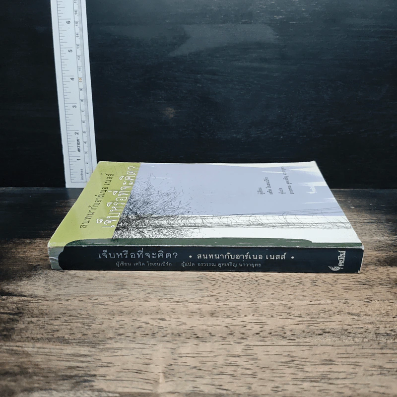 หนังสือ สนทนากับอาร์เนอ เนสส์ เจ็บหรือที่จะคิด? รูปที่ 3