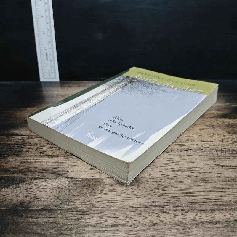 หนังสือ สนทนากับอาร์เนอ เนสส์ เจ็บหรือที่จะคิด? รูปที่ 4