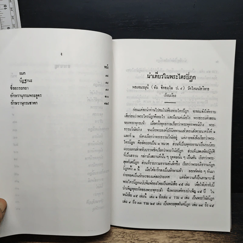 นำเที่ยวในพระไตรปิฎก รูปที่ 8