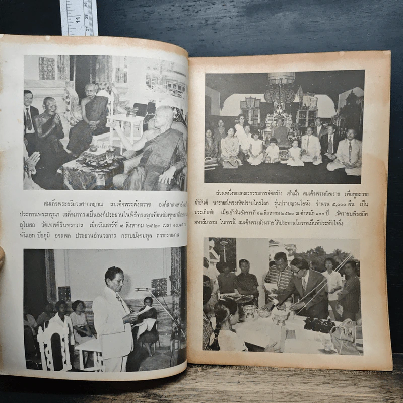นารายณ์ทรงทัพปราบไตรโลก รุ่น "ปราบญวณโอหัง" รูปที่ 6